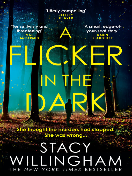 Title details for A Flicker in the Dark by Stacy Willingham - Wait list